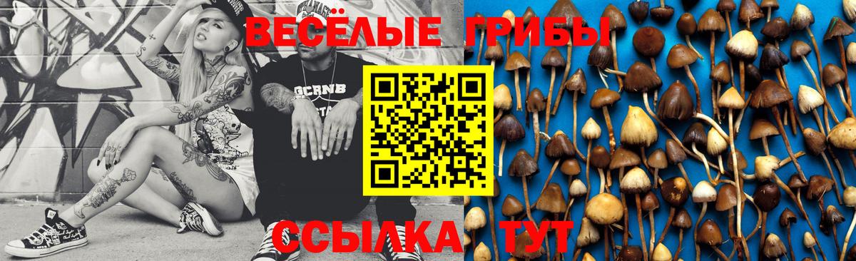 Галлюциногенные грибы мицелий  Вход с VPN  Петрозаводск  Псилоцибиновые грибы Psilocybe 