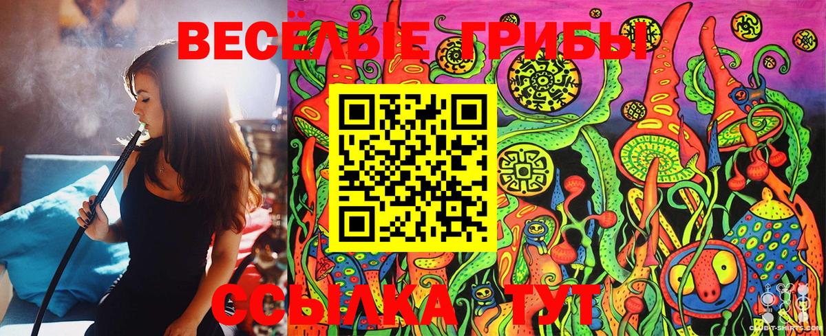 Галлюциногенные грибы Psilocybine cubensis Петрозаводск
